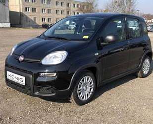 Fiat Panda Gebrauchtwagen