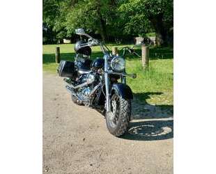 Suzuki VL 800 Gebrauchtwagen