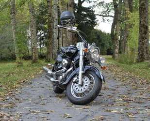Suzuki VL 800 Gebrauchtwagen