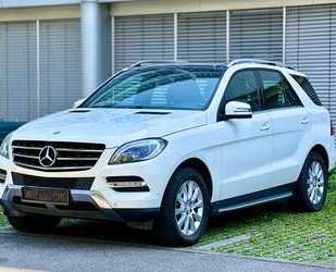 Mercedes-Benz ML 250 Gebrauchtwagen