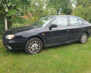Nissan Primera Gebrauchtwagen