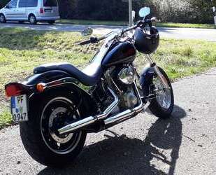 Harley Davidson Softail Gebrauchtwagen