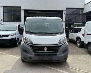 Fiat Ducato Gebrauchtwagen