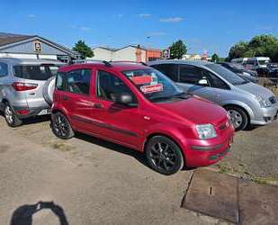 Fiat Panda Gebrauchtwagen