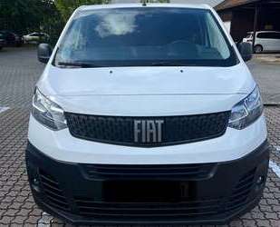 Fiat Scudo Gebrauchtwagen