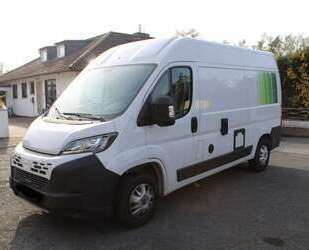 Fiat Ducato Gebrauchtwagen