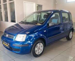 Fiat Panda Gebrauchtwagen