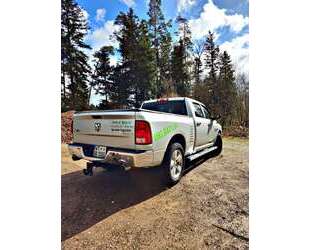 Dodge RAM Gebrauchtwagen