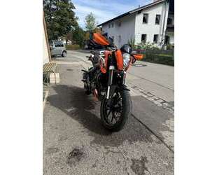 KTM 125 Duke Gebrauchtwagen