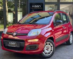 Fiat Panda Gebrauchtwagen