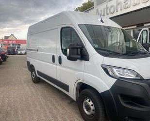 Fiat Ducato Gebrauchtwagen