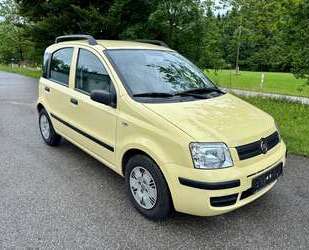 Fiat Panda Gebrauchtwagen