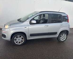 Fiat Panda Gebrauchtwagen