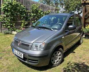 Fiat Panda Gebrauchtwagen