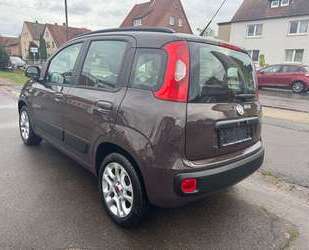 Fiat Panda Gebrauchtwagen