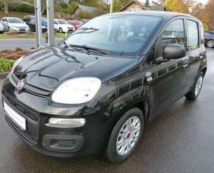 Fiat Panda Gebrauchtwagen