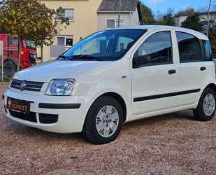Fiat Panda Gebrauchtwagen