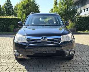 Subaru Forester Gebrauchtwagen