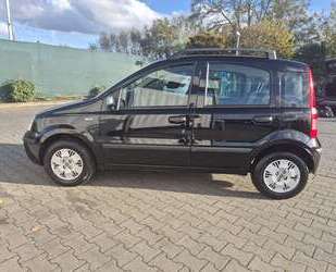 Fiat Panda Gebrauchtwagen