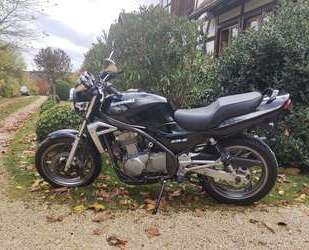 Kawasaki ER - 5 Gebrauchtwagen