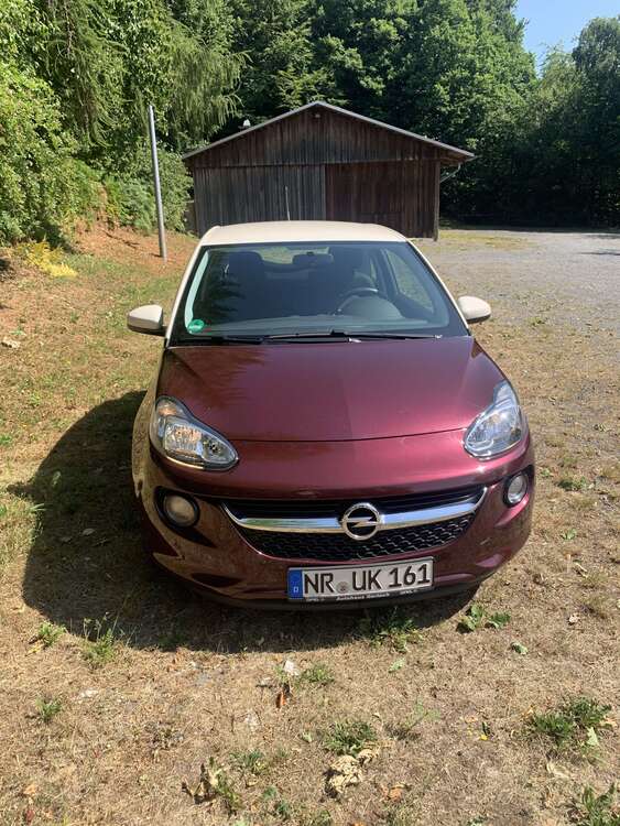 Bild 1