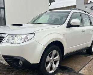 Subaru Forester Gebrauchtwagen