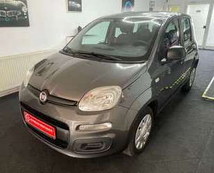 Fiat New Panda Gebrauchtwagen