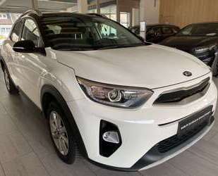 Kia Stonic Gebrauchtwagen