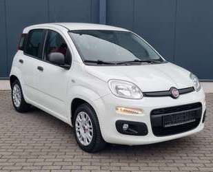 Fiat New Panda Gebrauchtwagen
