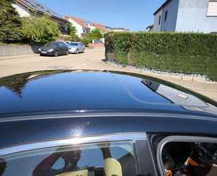 Honda Accord Gebrauchtwagen
