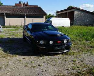 Ford Mustang Gebrauchtwagen