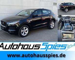 Jaguar E-Pace Gebrauchtwagen