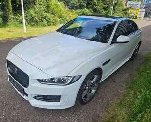Jaguar XE Gebrauchtwagen