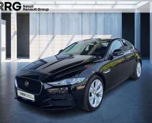 Jaguar XE Gebrauchtwagen