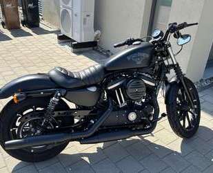 Harley Davidson Iron 883 Gebrauchtwagen
