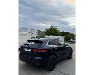 Jaguar F-Pace Gebrauchtwagen