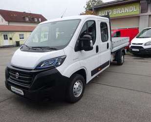 Fiat Ducato Gebrauchtwagen