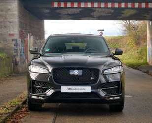 Jaguar F-Pace Gebrauchtwagen