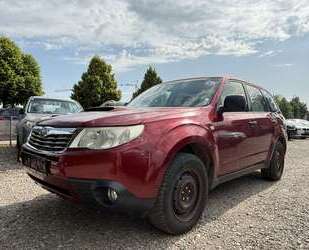 Subaru Forester Gebrauchtwagen