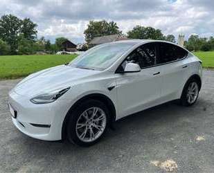Tesla Model Y Gebrauchtwagen