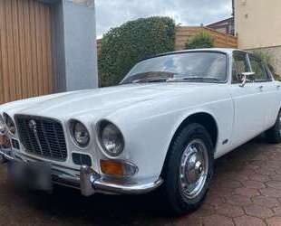 Jaguar XJ6 Gebrauchtwagen