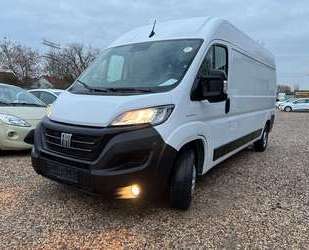 Fiat Ducato Gebrauchtwagen