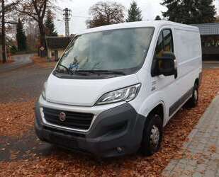 Fiat Ducato Gebrauchtwagen