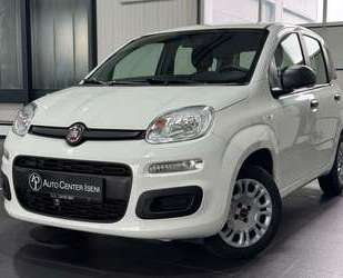 Fiat Panda Gebrauchtwagen