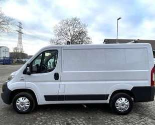 Fiat Ducato Gebrauchtwagen