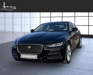 Jaguar XE Gebrauchtwagen