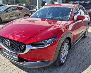 Mazda CX-30 Gebrauchtwagen
