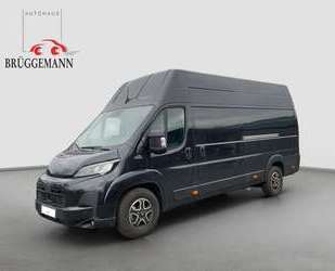 Fiat Ducato Gebrauchtwagen