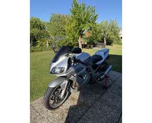 Suzuki SV 1000 Gebrauchtwagen