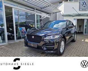 Jaguar F-Pace Gebrauchtwagen
